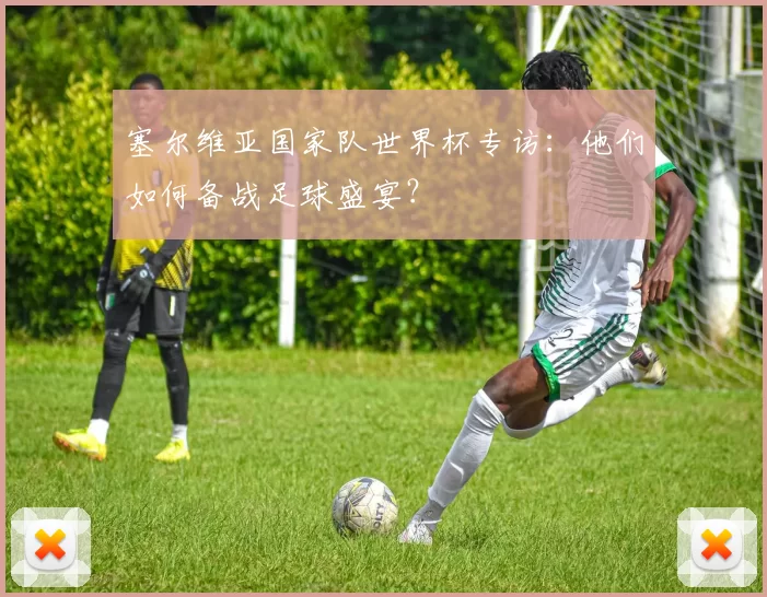 塞尔维亚国家队世界杯专访:他们如何备战足球盛宴?