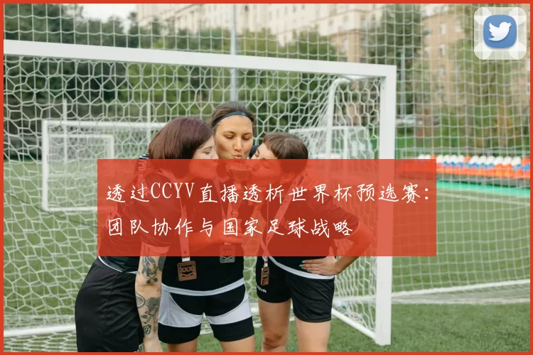 透过CCYV直播透析世界杯预选赛:团队协作与国家足球战略