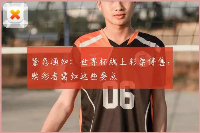 紧急通知：世界杯线上彩票停售，购彩者需知这些要点
