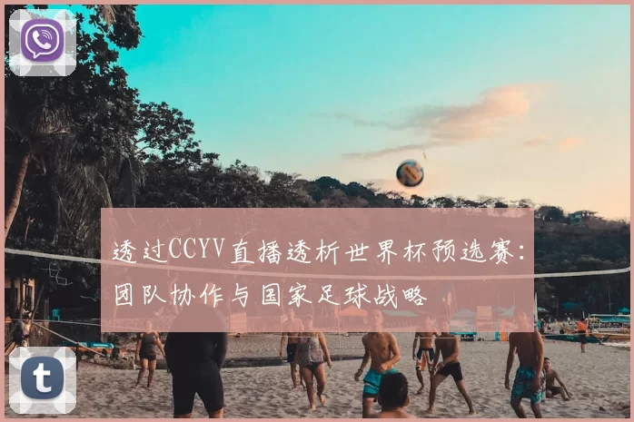 透过CCYV直播透析世界杯预选赛:团队协作与国家足球战略