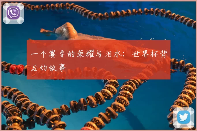 一个赛季的荣耀与泪水:世界杯背后的故事