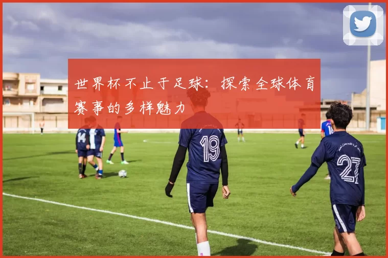 世界杯不止于足球:探索全球体育赛事的多样魅力