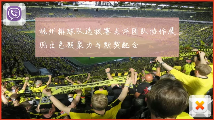 杭州排球队选拔赛点评团队协作展现出色凝聚力与默契配合