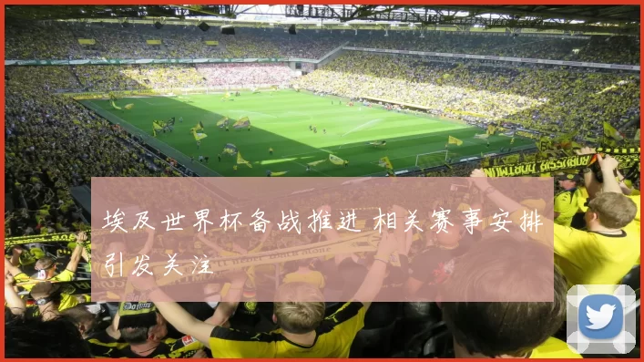 埃及世界杯备战推进 相关赛事安排引发关注