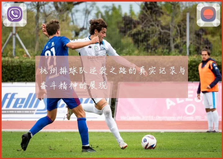 杭州排球队逆袭之路的真实记录与奋斗精神的展现