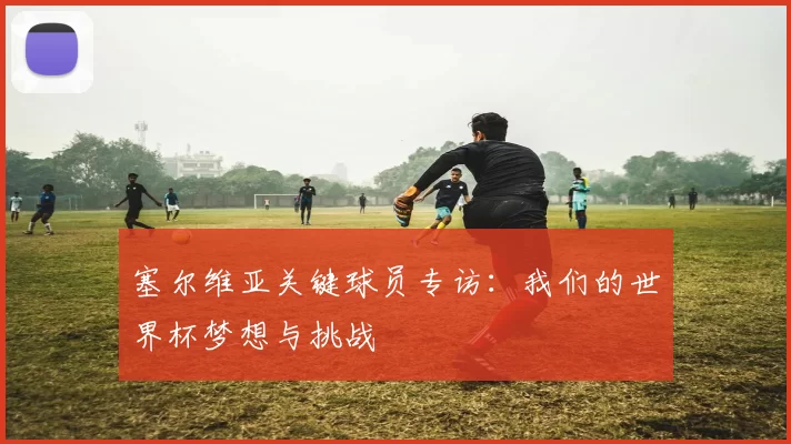 塞尔维亚关键球员专访：我们的世界杯梦想与挑战